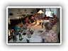 Bild5